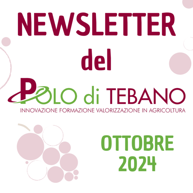 POLO DI TEBANO – NEWSLETTER DI OTTOBRE 2024