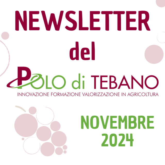 POLO DI TEBANO – NEWSLETTER DI NOVEMBRE 2024